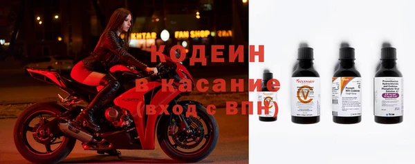 трава Корсаков
