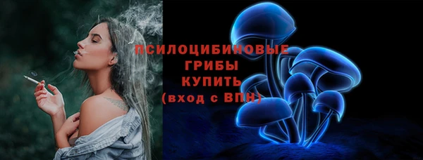 бошки Краснослободск