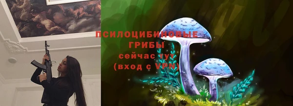 стафф Костерёво