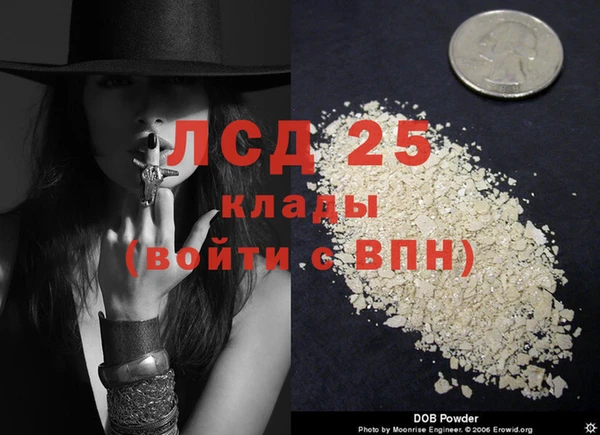 трава Корсаков