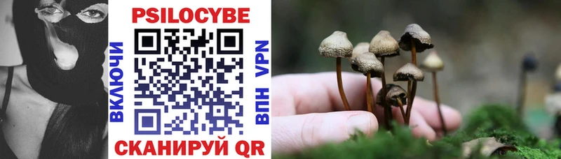 где купить наркотик  Славянск-на-Кубани  Галлюциногенные грибы Magic Shrooms 