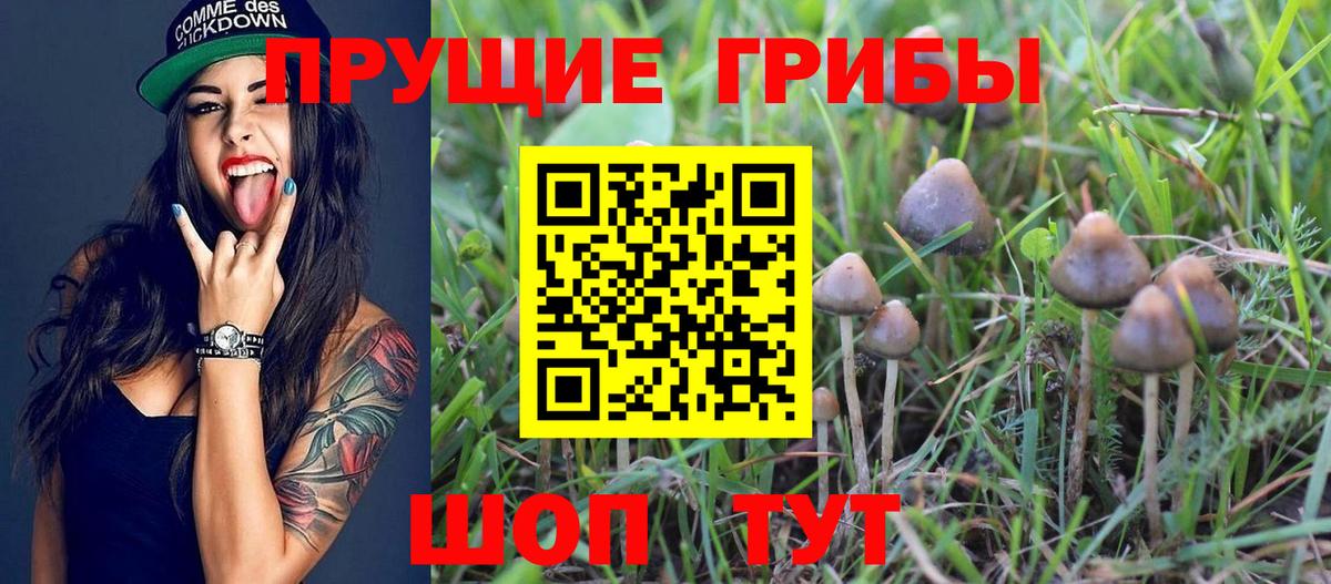 Славянск-на-Кубани  как найти закладки  Вход с VPN  Псилоцибиновые грибы Magic Shrooms 